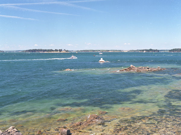 Summer view